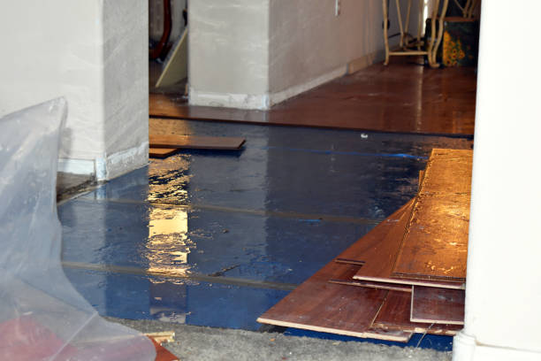Professional Burst Pipe Cleanup technician working in Embarrass, WI